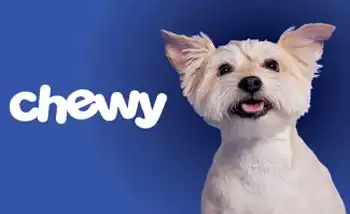 Chewy Gift card